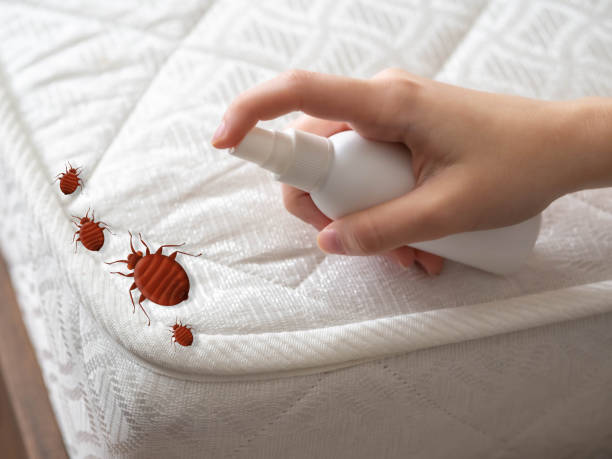 Best Cockroach Control Services  in Yucos, CA