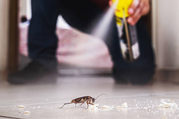 Best Affordable Pest Control Services  in Yucos, CA
