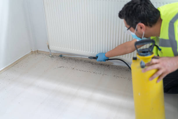 Best Pest Control Near Me  in Yucos, CA